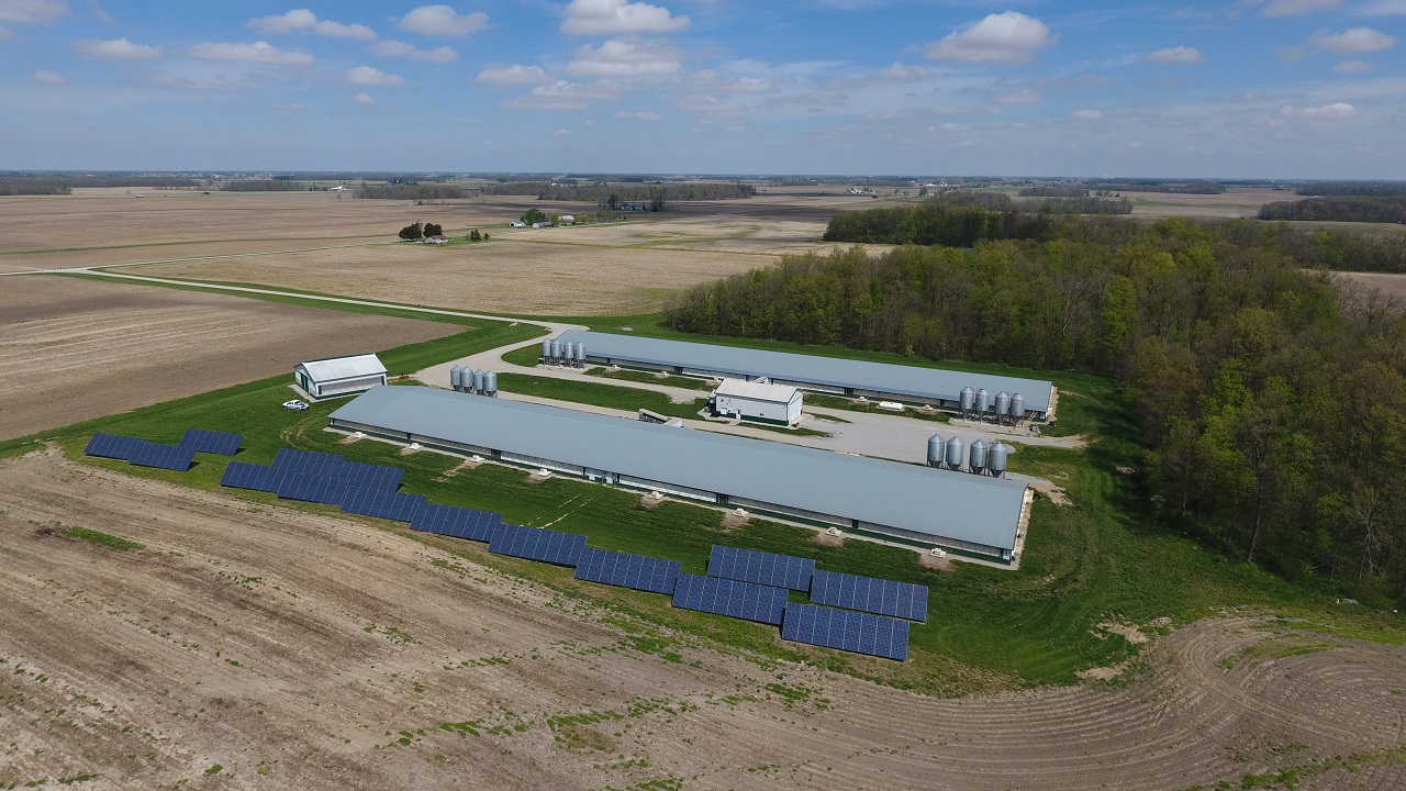 Solar arrays beside hog barns